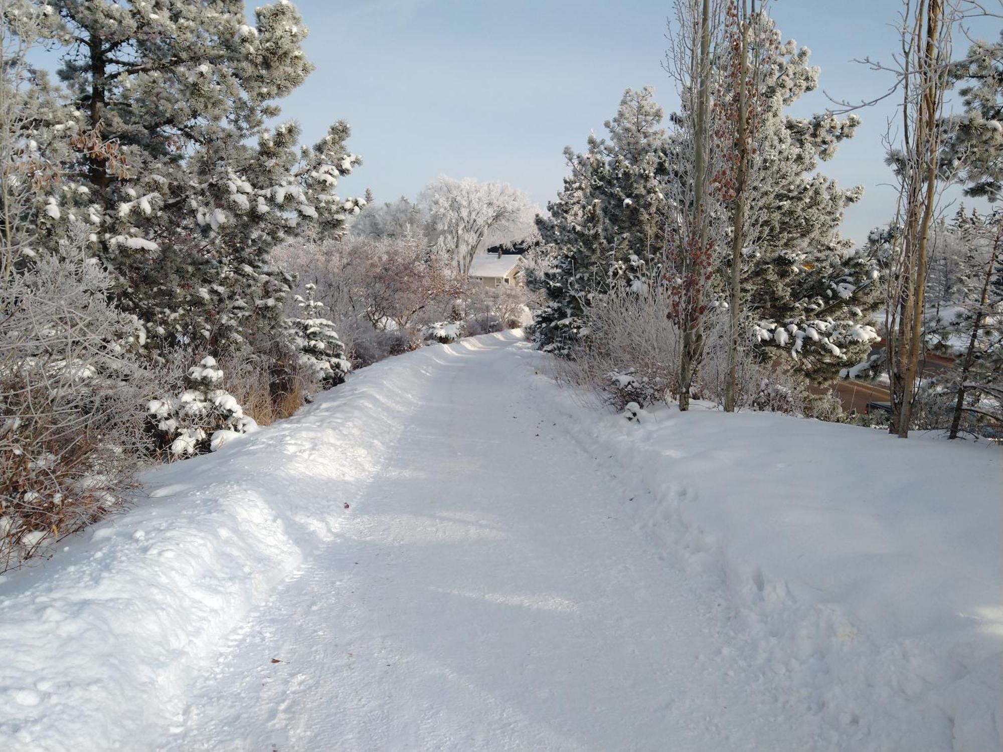 U Of A Homestay, Trails & Whyte Ave Edmonton Kamer foto