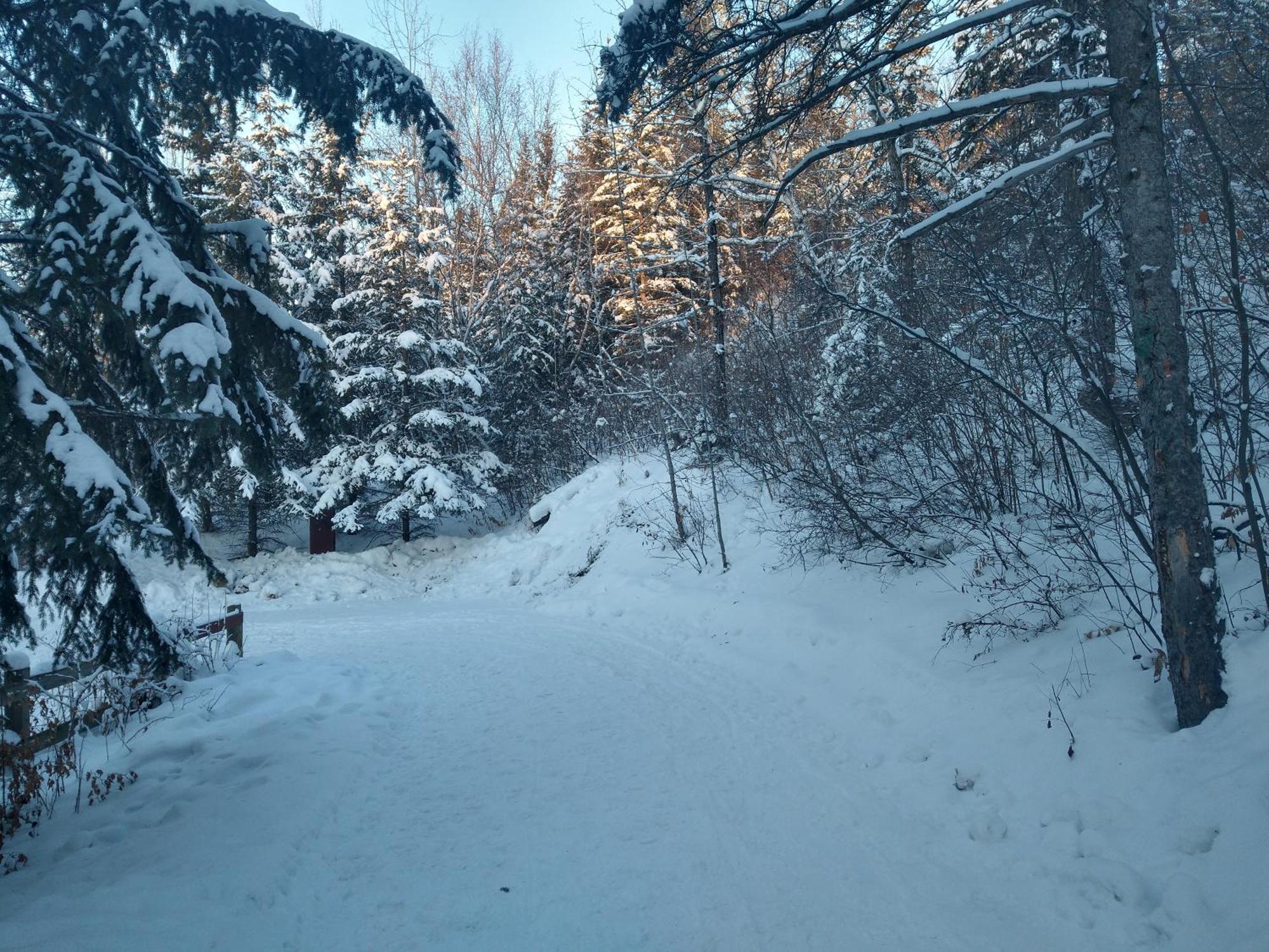 U Of A Homestay, Trails & Whyte Ave Edmonton Kamer foto