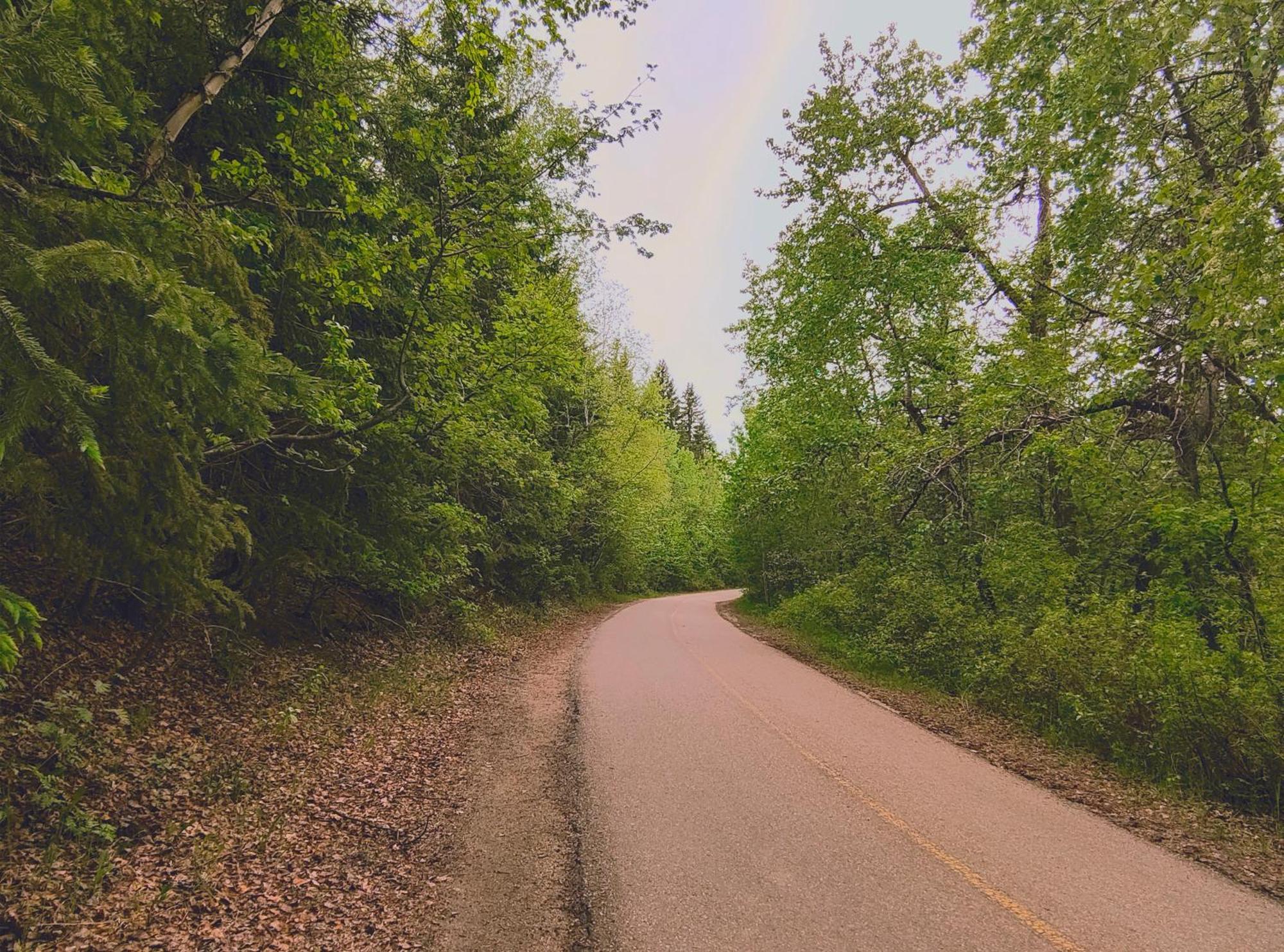 U Of A Homestay, Trails & Whyte Ave Edmonton Buitenkant foto
