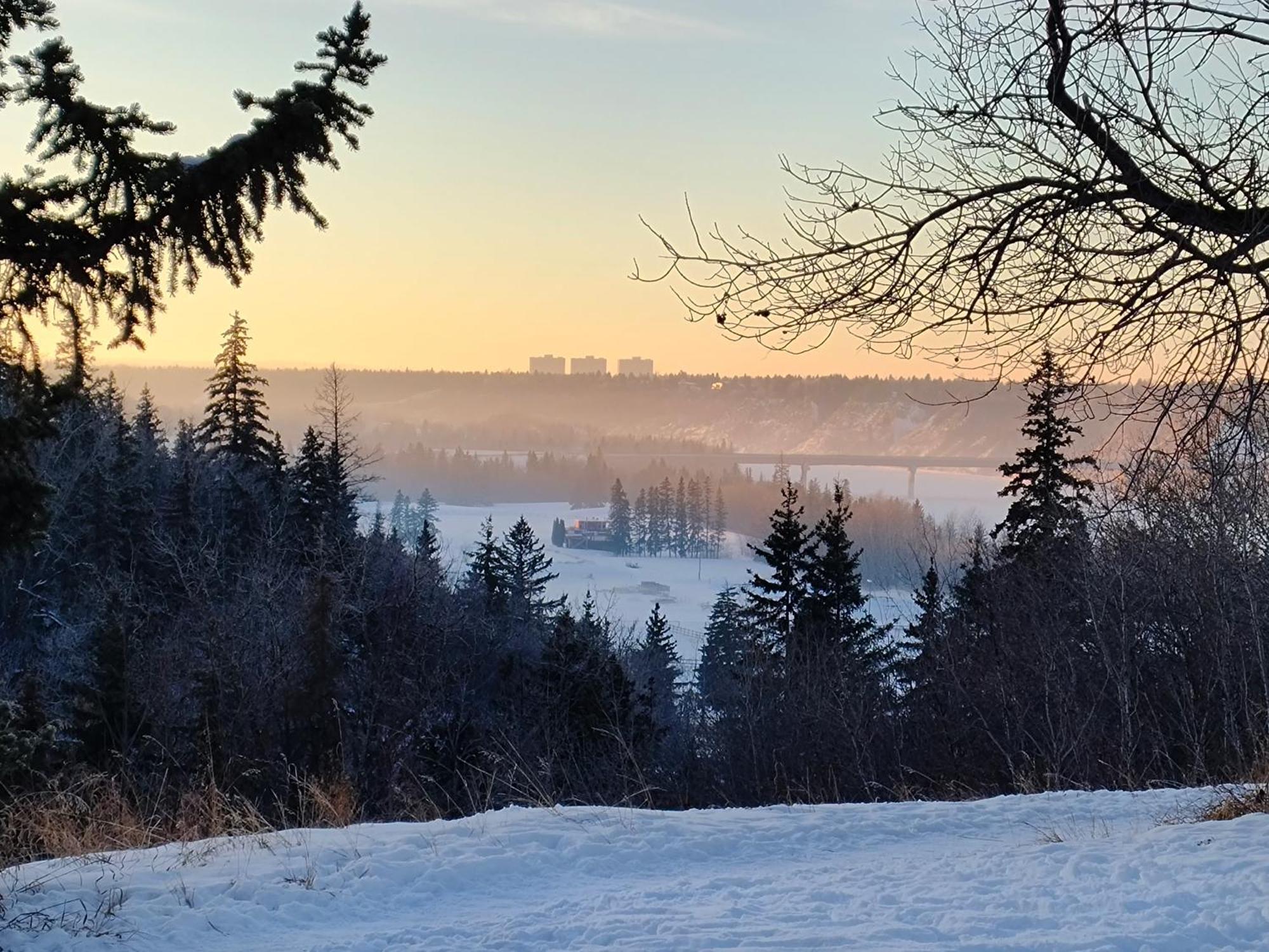 U Of A Homestay, Trails & Whyte Ave Edmonton Buitenkant foto