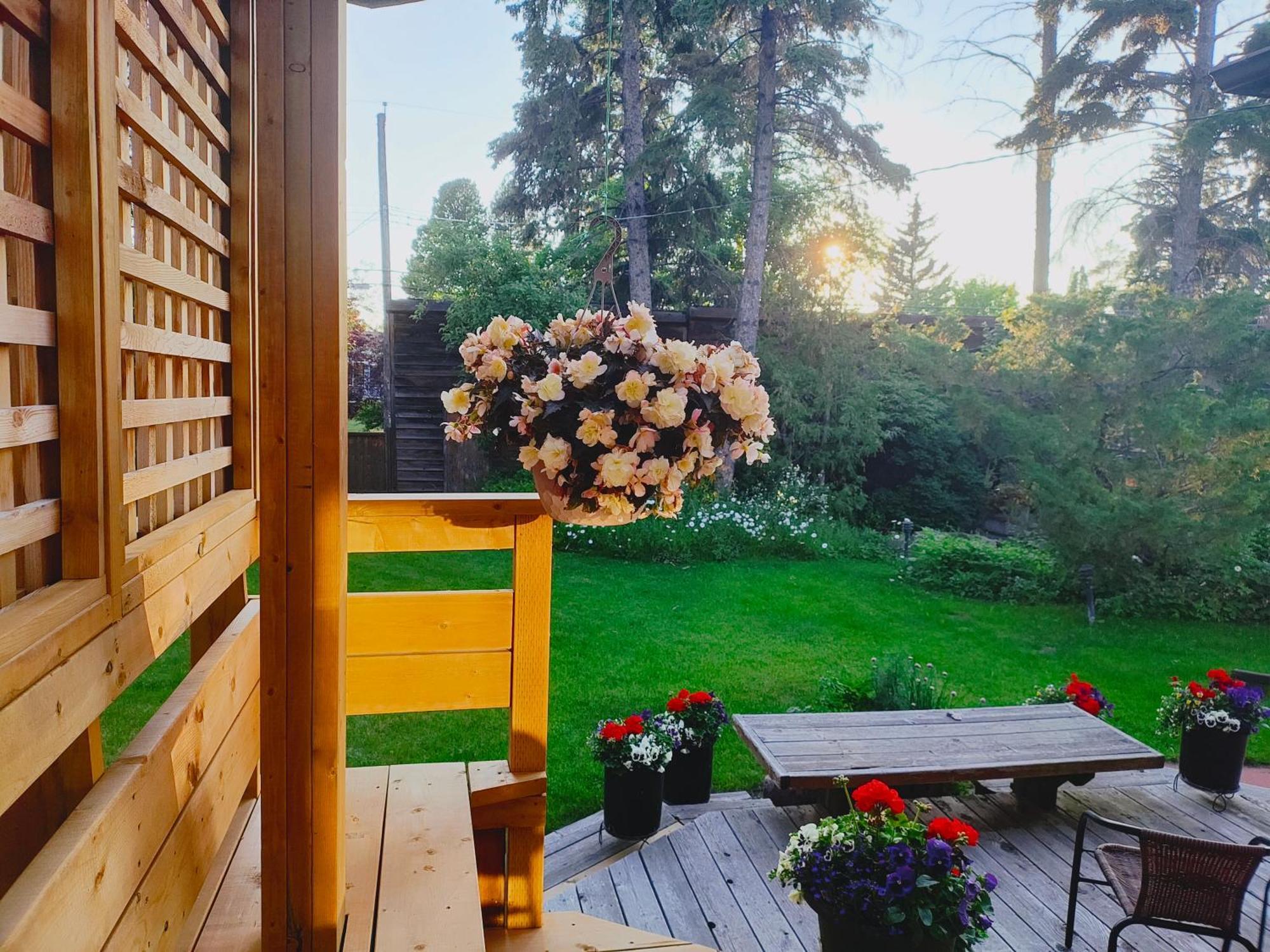 U Of A Homestay, Trails & Whyte Ave Edmonton Buitenkant foto
