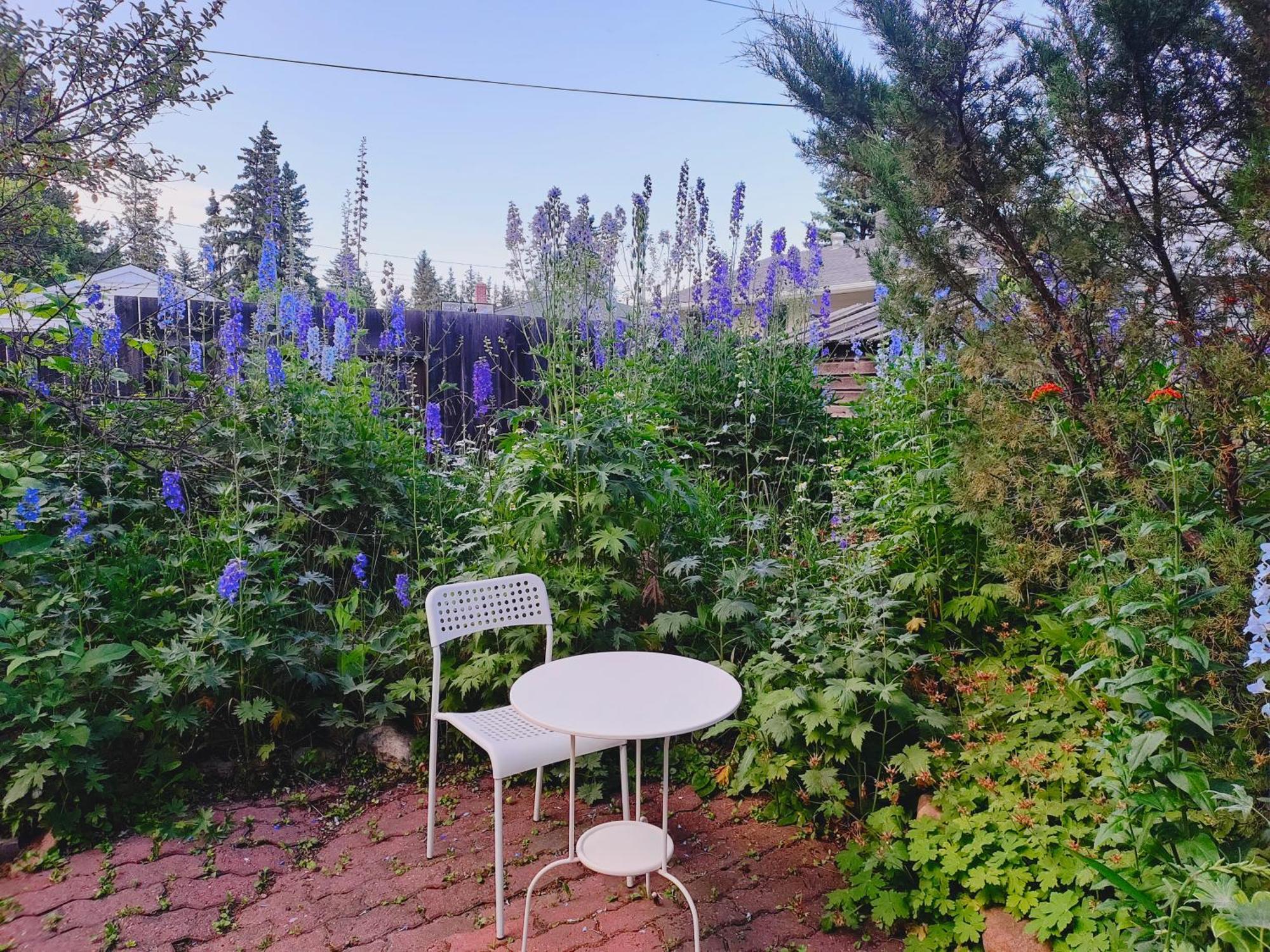 U Of A Homestay, Trails & Whyte Ave Edmonton Buitenkant foto
