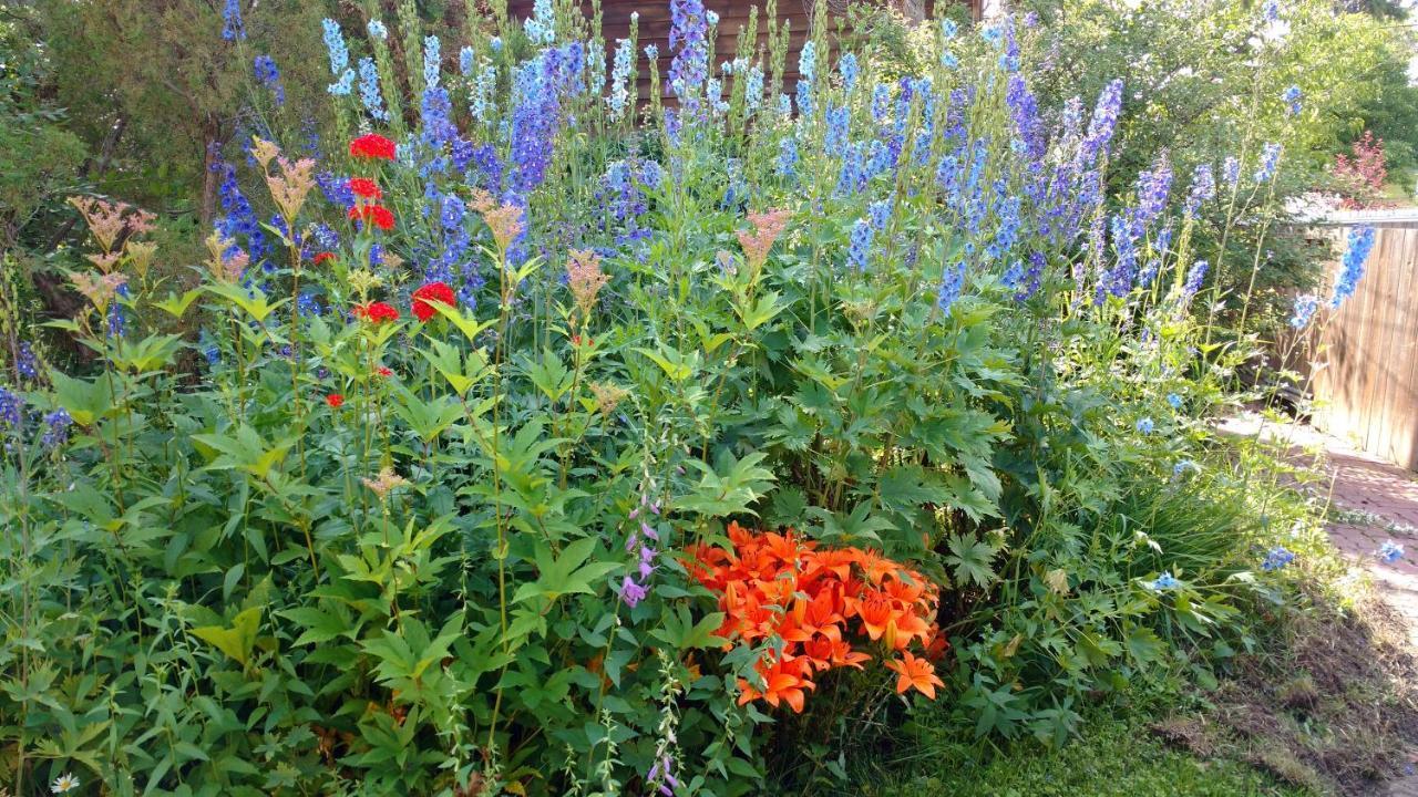 U Of A Homestay, Trails & Whyte Ave Edmonton Buitenkant foto