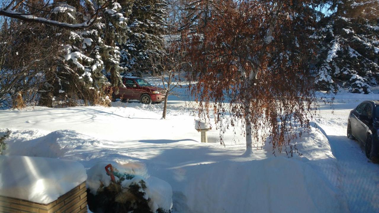 U Of A Homestay, Trails & Whyte Ave Edmonton Buitenkant foto